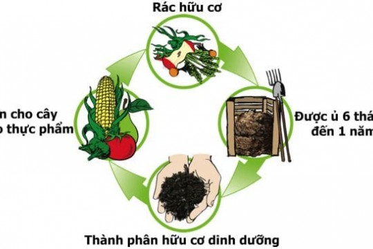 #Phân Loại Rác Thải Nhựa Tái Chế | Rác Hữu Cơ | Rác Vô Cơ