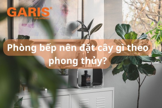 Top 7 loại cây nên đặt trong bếp theo phong thủy, giúp gia đạo êm ấm