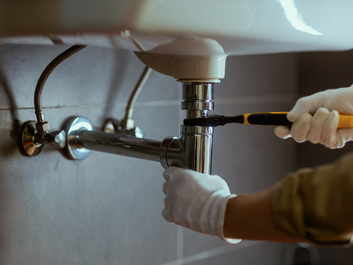 chau-rua-bat-1-ho-co-phu-hop-voi-bep-nho-khong