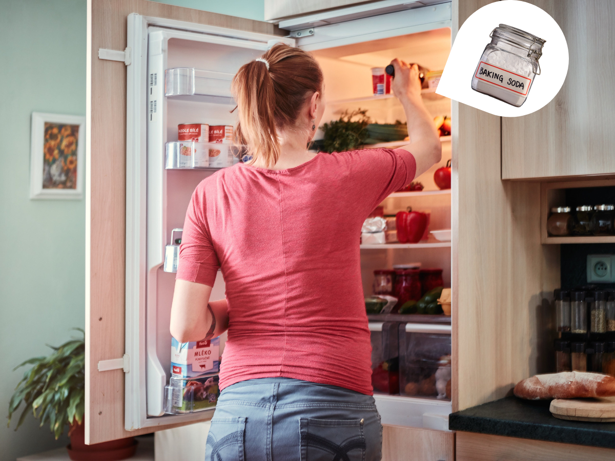 ve-sinh-tu-lanh-bi-moc